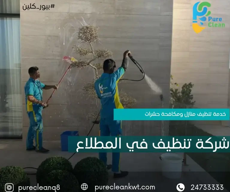شركة تنظيف المطلاع