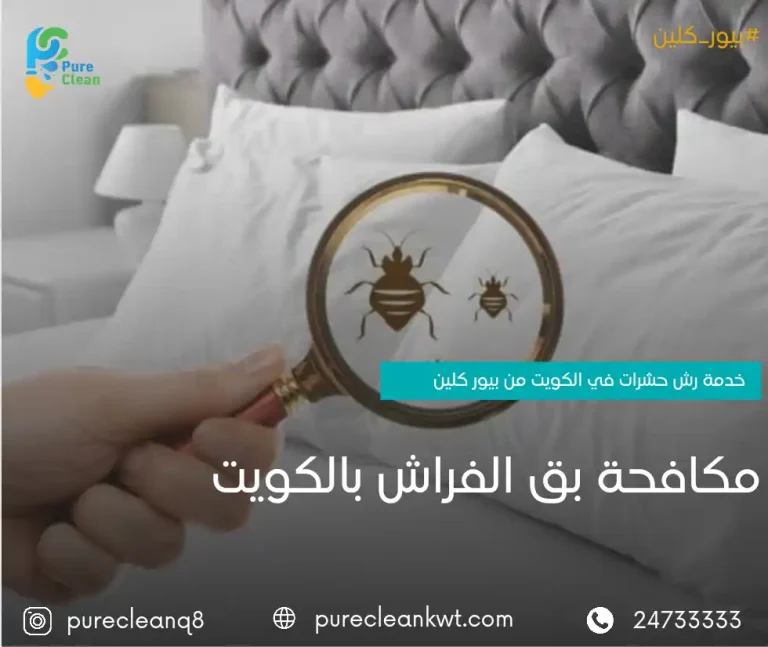 مكافحة بق الفراش بالكويت